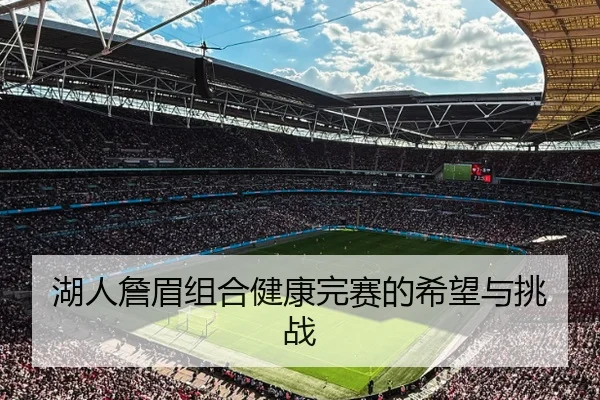 湖人詹眉组合健康完赛的希望与挑战